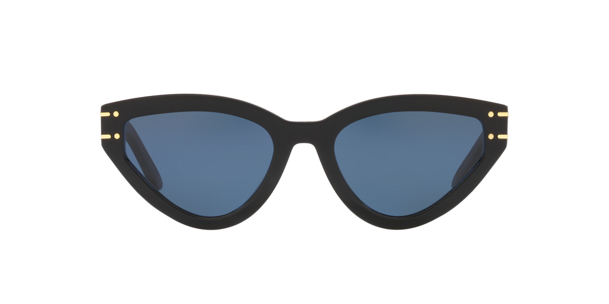 Dior Signature B2u 01v Cat Eye Sunglasses In Blue | ModeSens