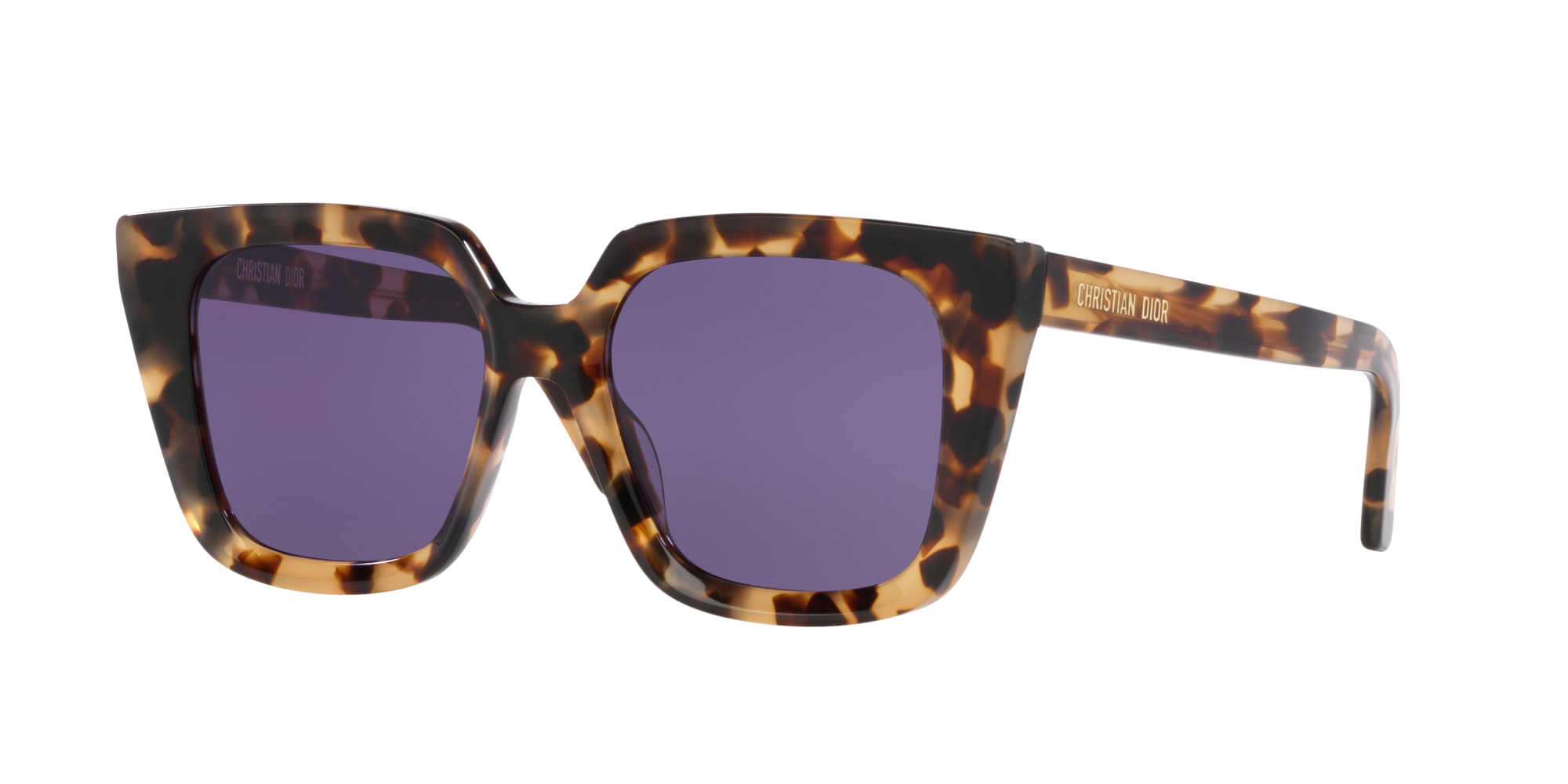 Christian Dior Sunglasses 17E – Vision Gallerie