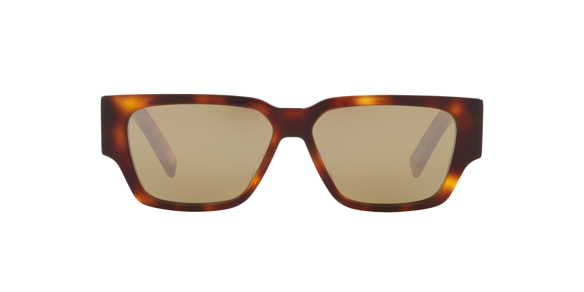 Dior Man Sunglass Cd Diamond S5i In Brown