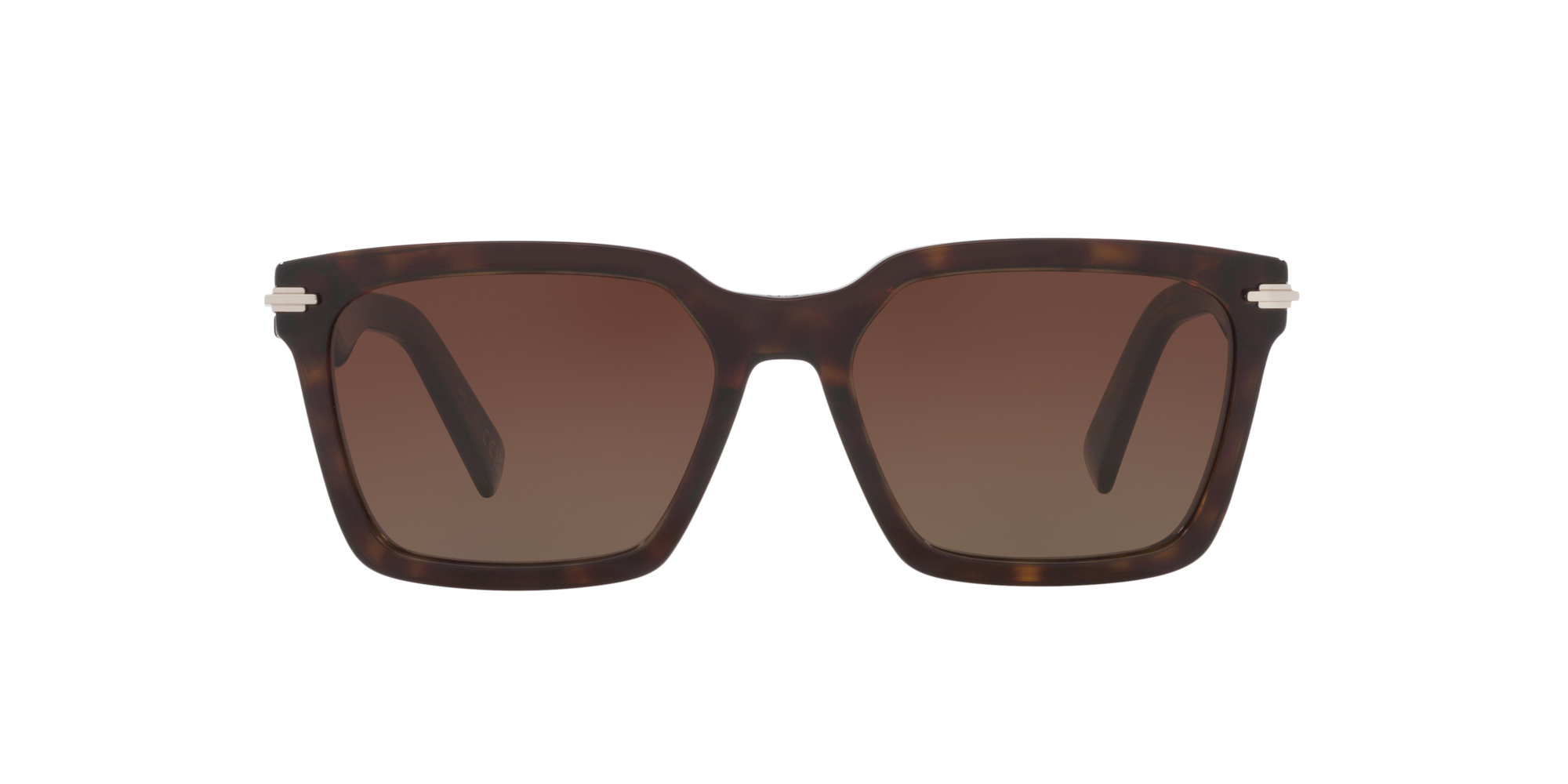 Dior Man Sunglass Blacksuit S3i Dm40032i In Brown