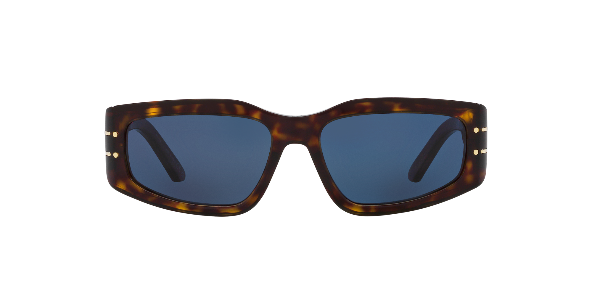 Dior Woman Sunglass Signatures9u In Brown