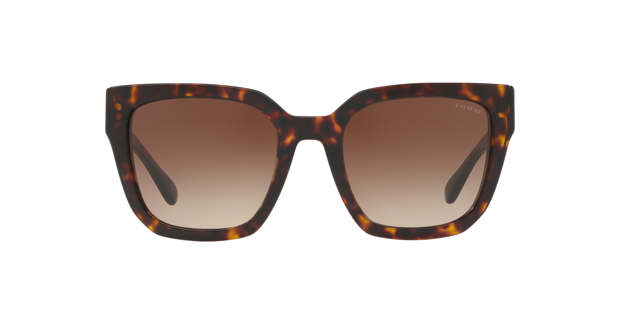 coach sunglasses tortoise