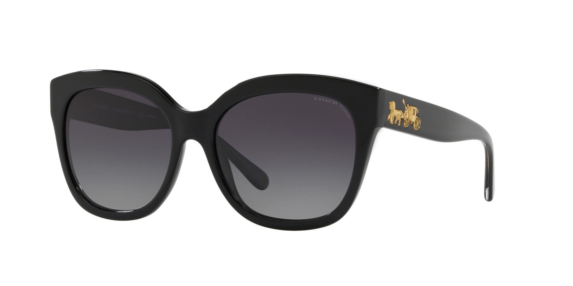 COACH® | Disney X Coach Striped Square Sunglasses