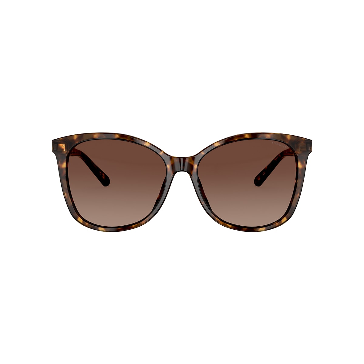 Luis 08uv c2 unisex sunglasses, brown- multi size: Buy Online at