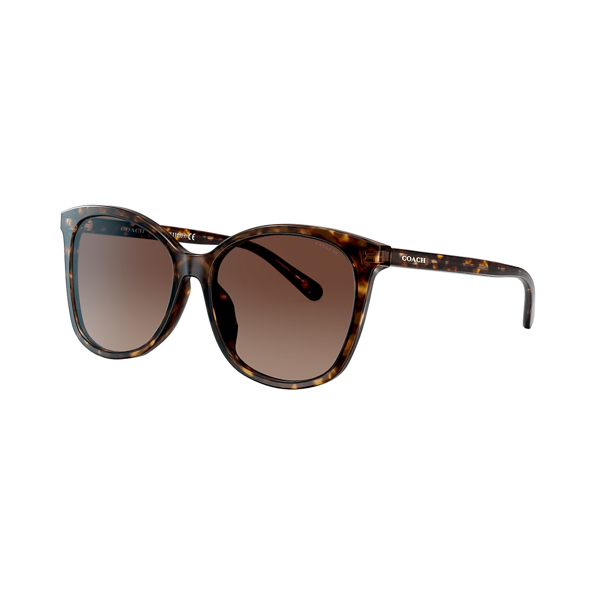 Luis 08uv c2 unisex sunglasses, brown- multi size: Buy Online at