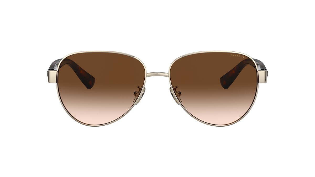 Coach store wayfarer sunglasses