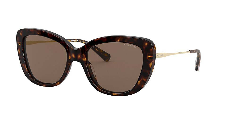 Coach dark hotsell tortoise sunglasses