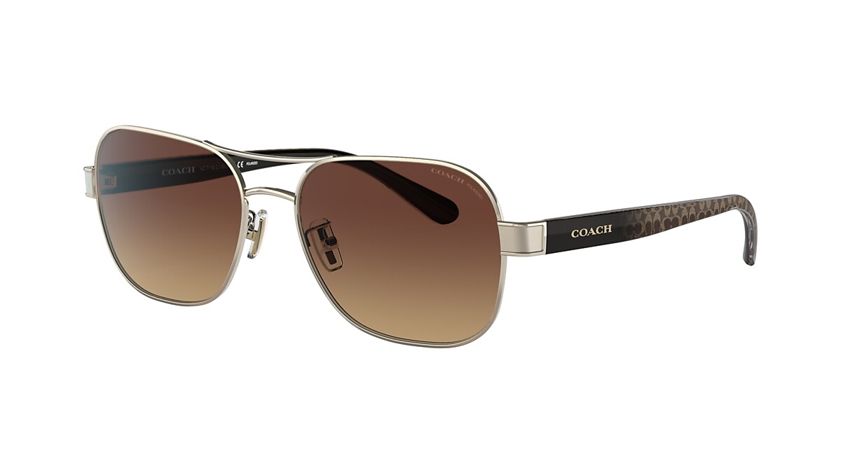 Coach aviator outlet sunglasses