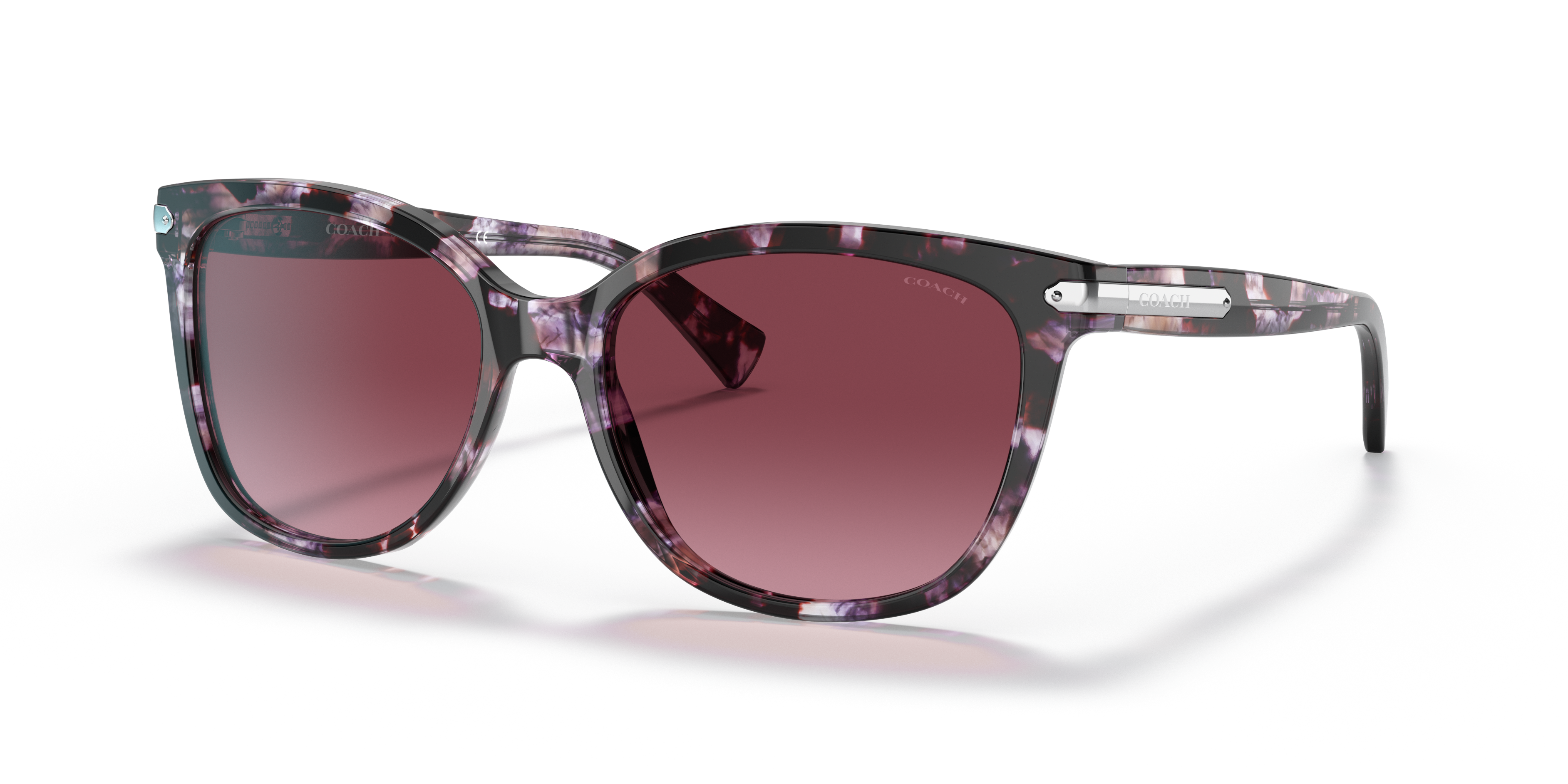 hc8132 coach sunglasses