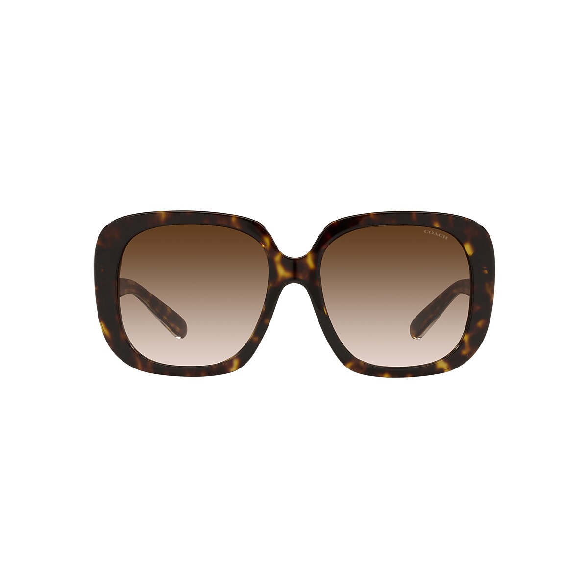 Coach Women HC8158 L1612 Sunglasses