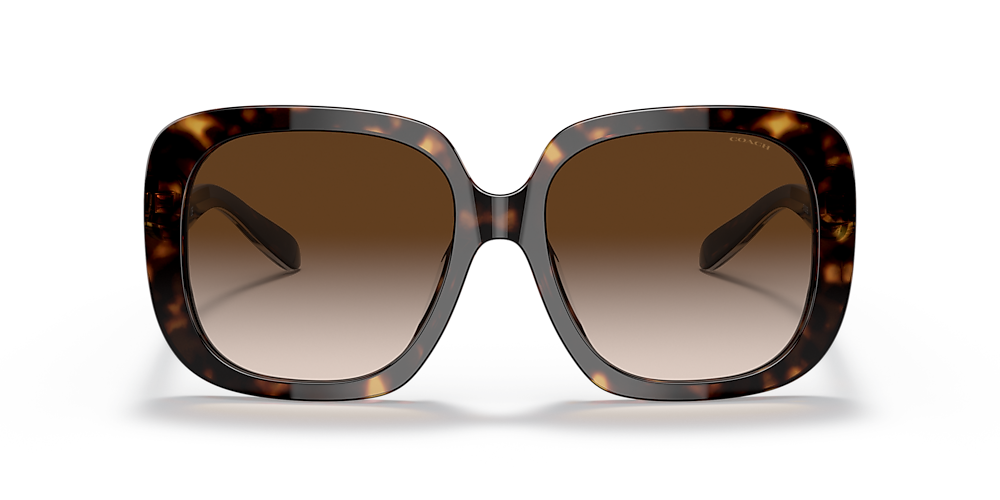 LOUIS VUITTON Anemone Sunglasses Brown Z0401W 65089