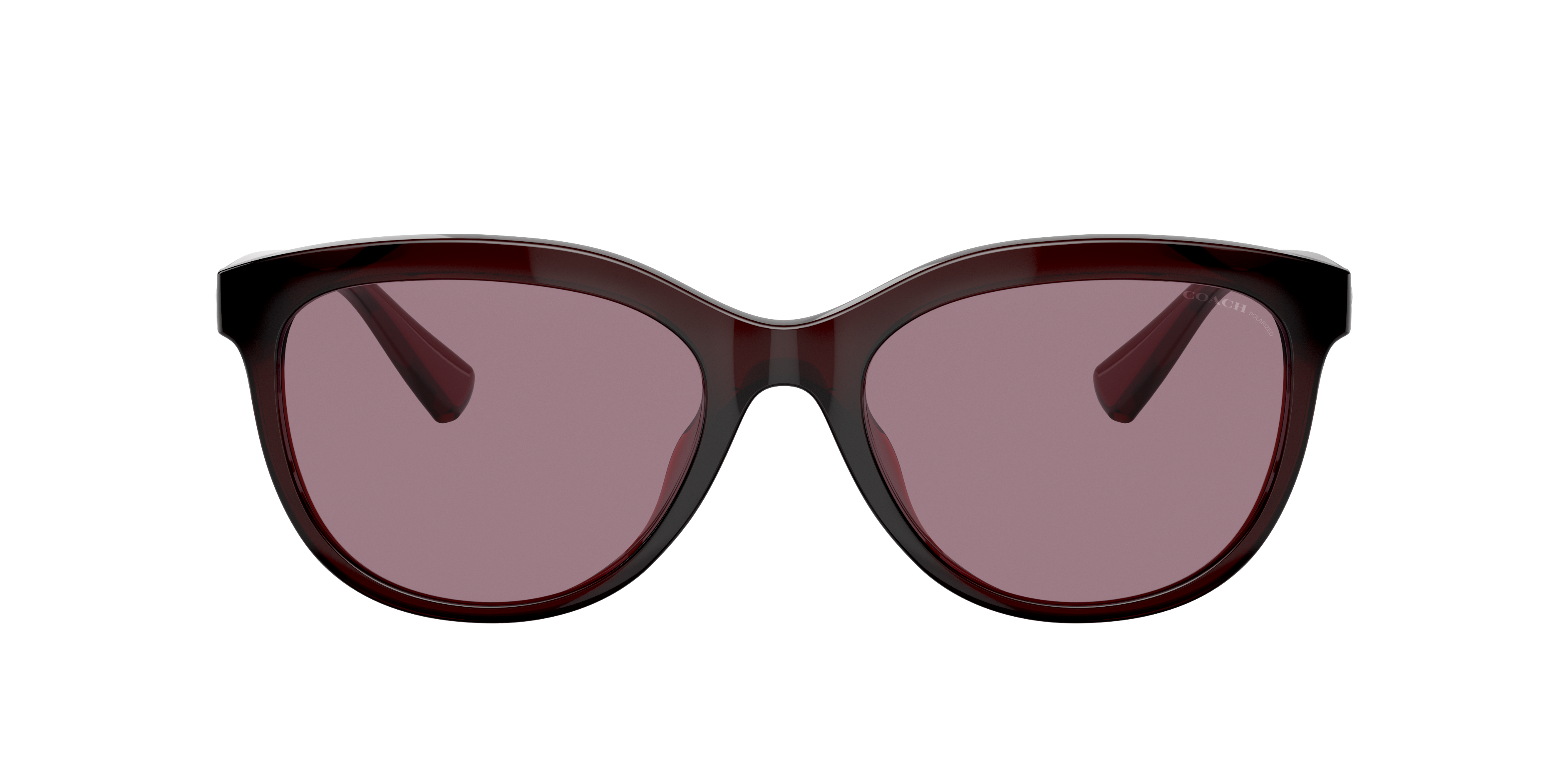 Coach Woman Sunglass Hc8285u L1137 In Burgundy Solid Polar