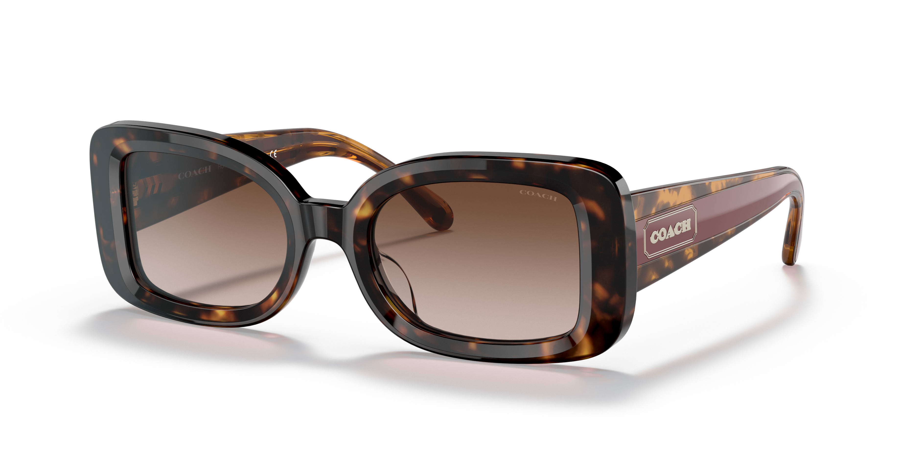 dark tortoise coach sunglasses