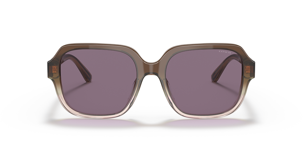Coach HC8335U C7989 53 Violet Solid & Transparent Brown Gradient Sunglasses  | Sunglass Hut USA