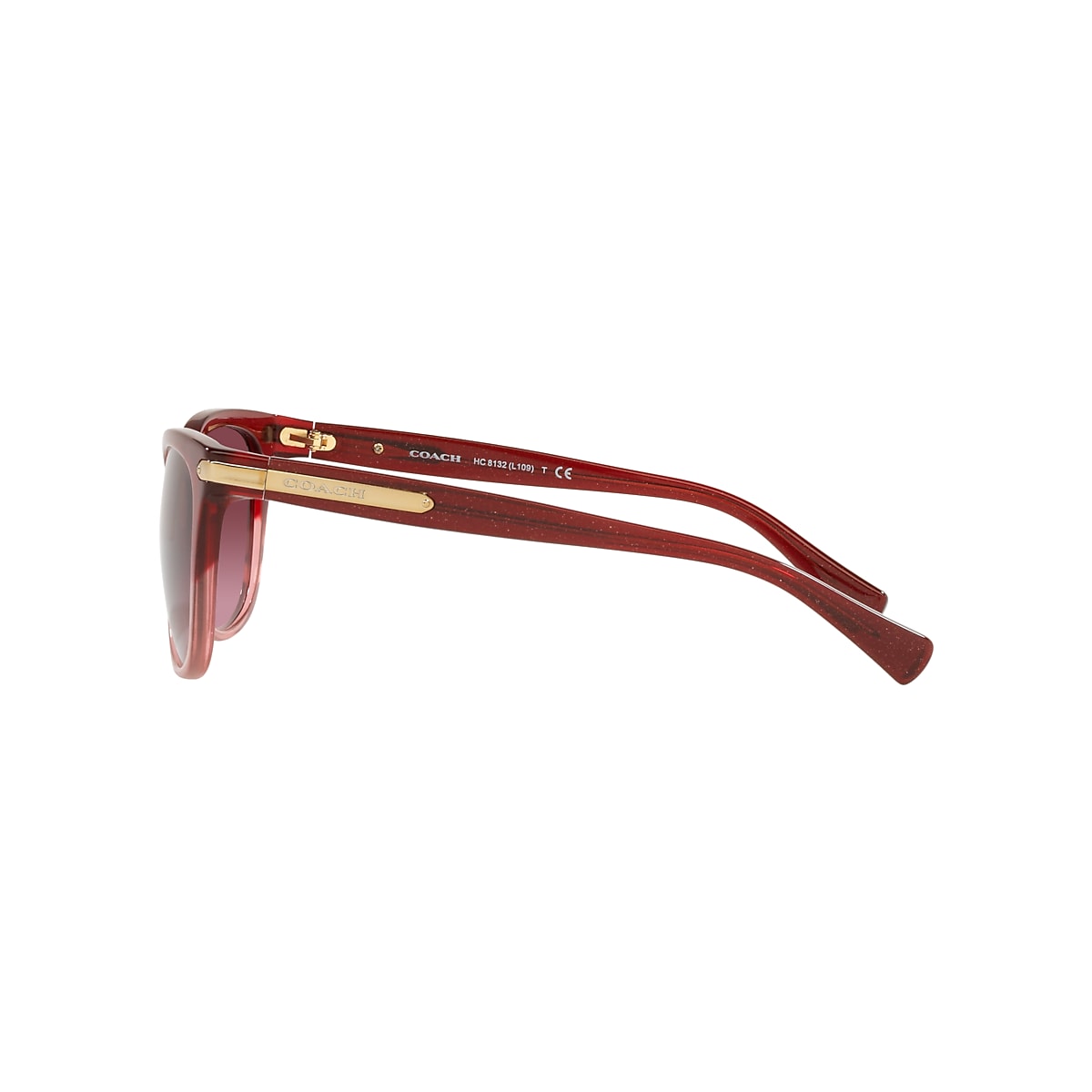 Coach 8132 outlet sunglasses