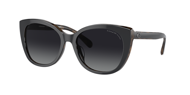 Coach polarised hot sale sunglasses