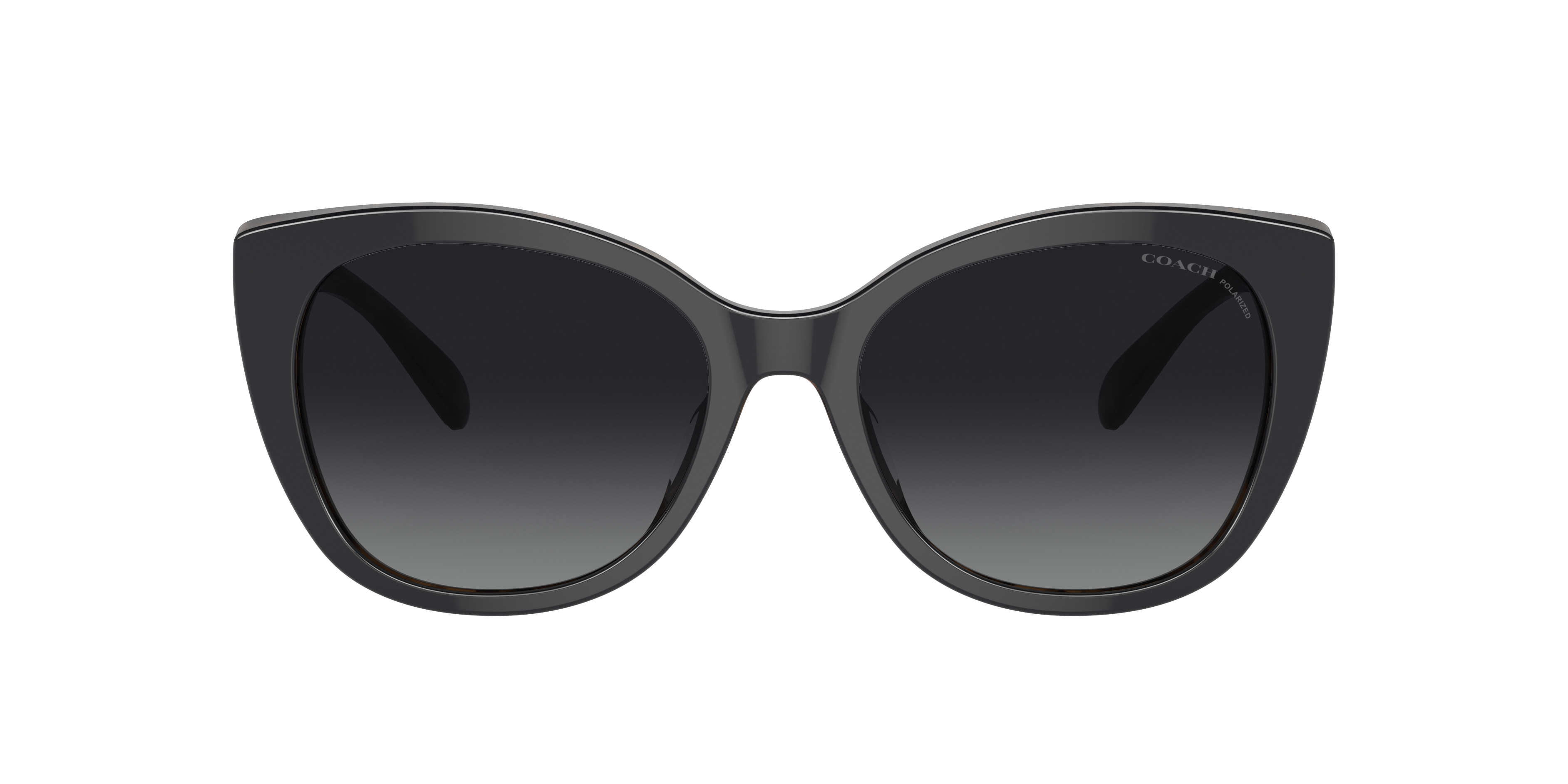 Coach Woman Sunglass Hc8365u Ch566 In Grey Gradient Polar