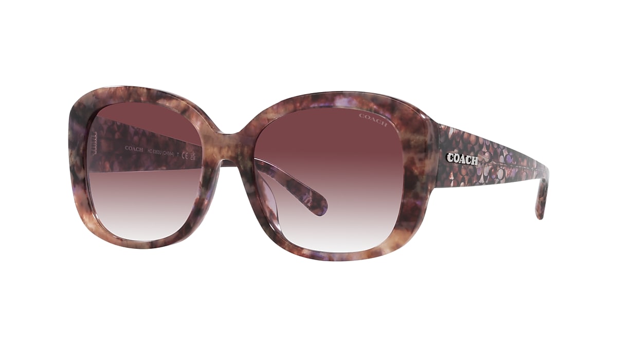 Coach HC8363U CH564 M (56 - 18) with Violet lenses and
