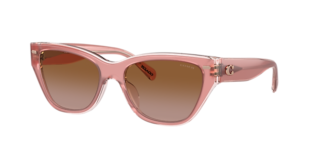 Coach Women's HC8370U Cat Eye Sunglasses