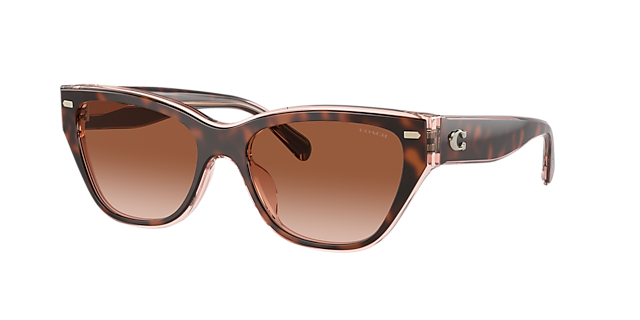 Coach HC8370U CH570 54 Brown Pink Gradient & Tortoise