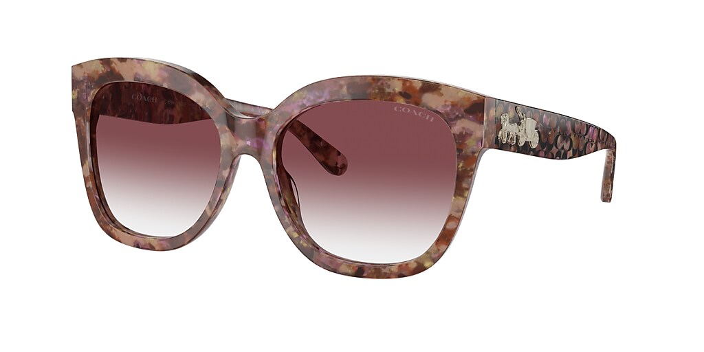 Coach HC8264 L1083 56 Purple Clear Gradient & Petal Tortoise Sunglasses