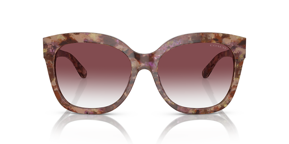 Coach tortoise outlet shell sunglasses