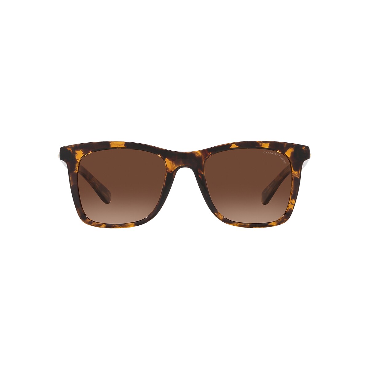 Coach HC8374U Ch561 51 Brown Gradient Polarized & Dark