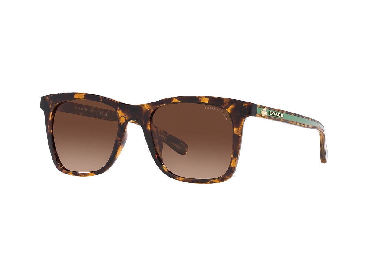 Coach HC8374U Ch561 51 Brown Gradient Polarized & Dark Tortoise