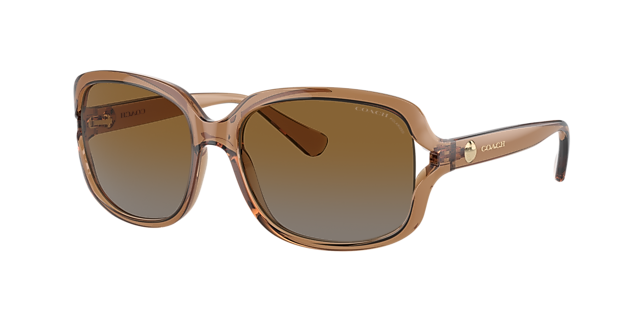 Coach sales sunglasses hc8169