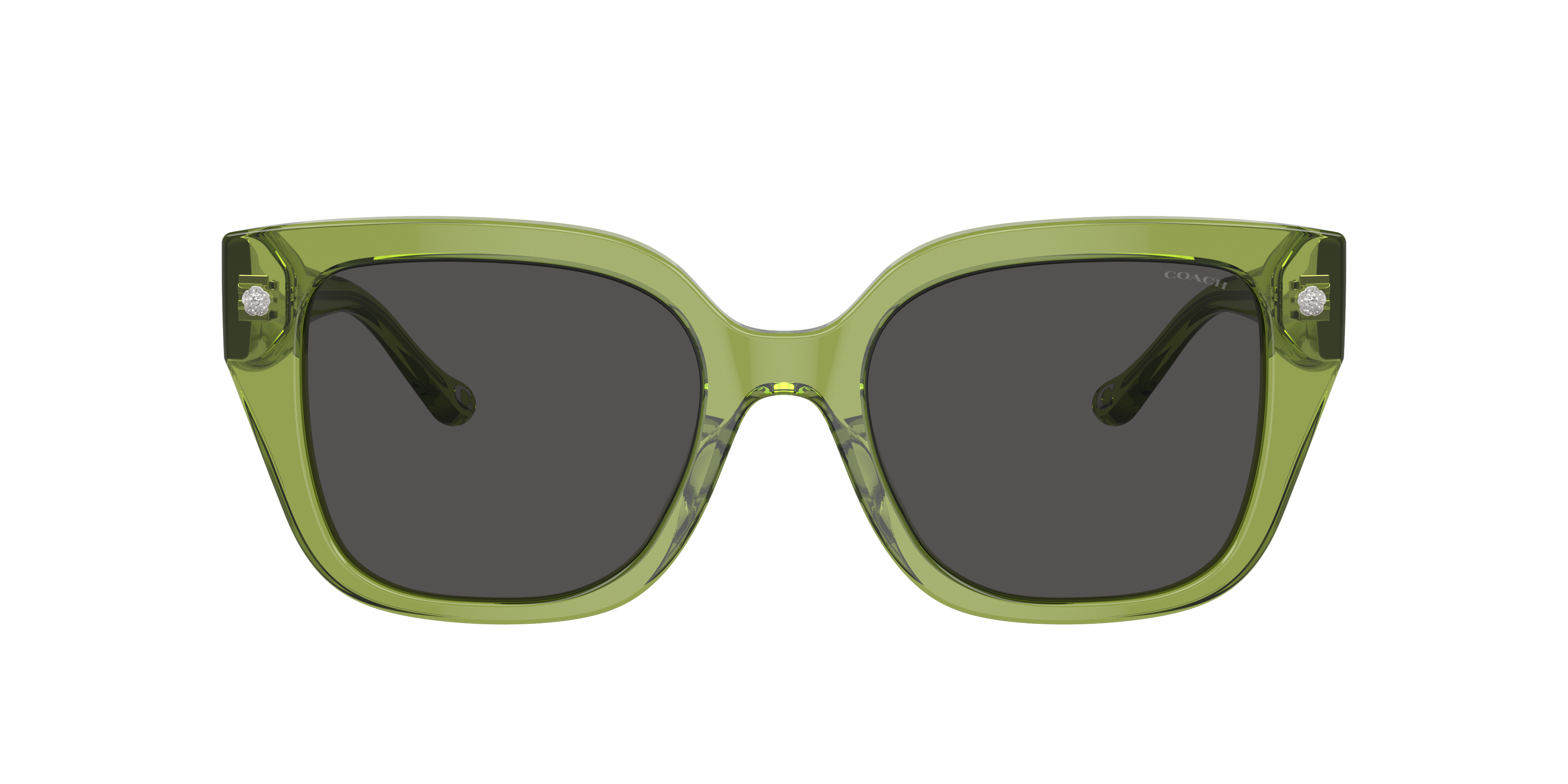 Coach Woman Sunglasses Hc8392u Cr611 In Grey Solid