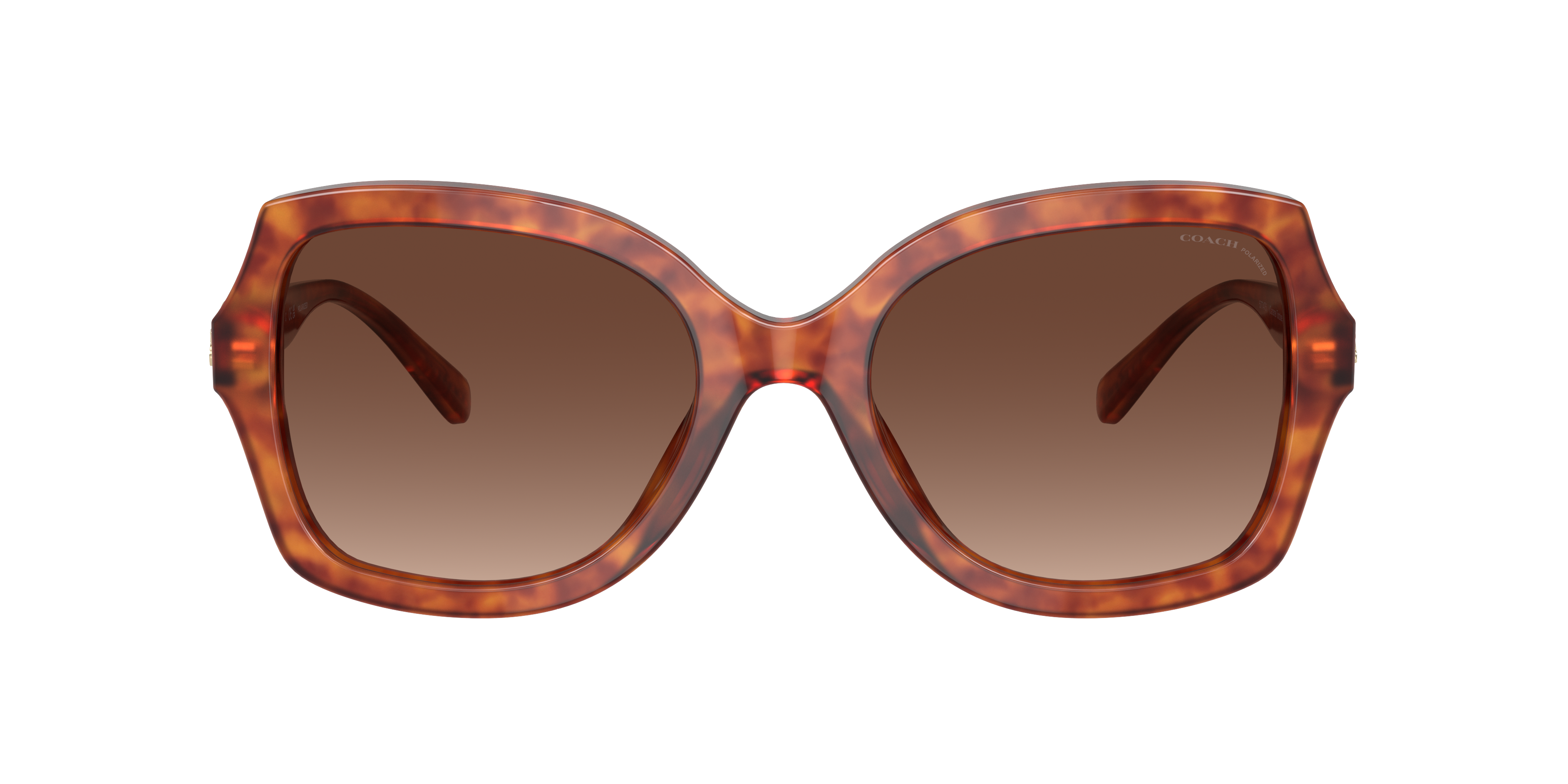 Shop Coach Woman Sunglasses Hc8295 L1147 In Brown Gradient Polarized