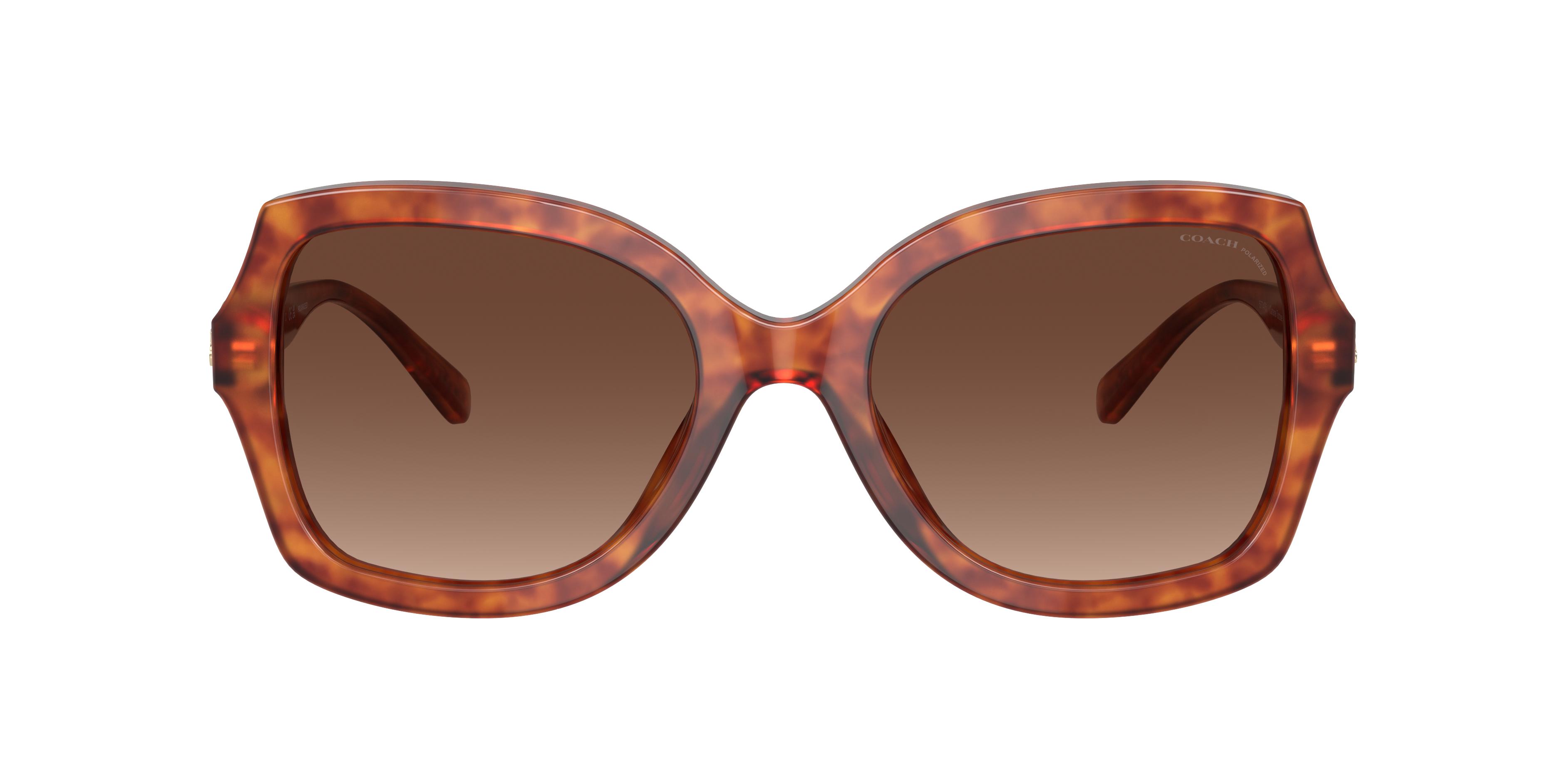 Coach Woman Sunglasses Hc8295 L1147 In Brown Gradient Polarized