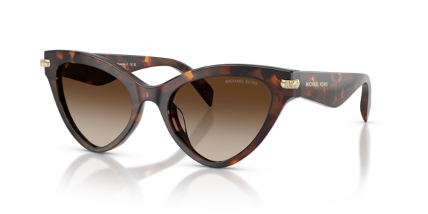 Óculos de sol Michael Kors Roanoke MK2259U, formato cat-eye, armação em acetato tartaruga, lente marrom degradê