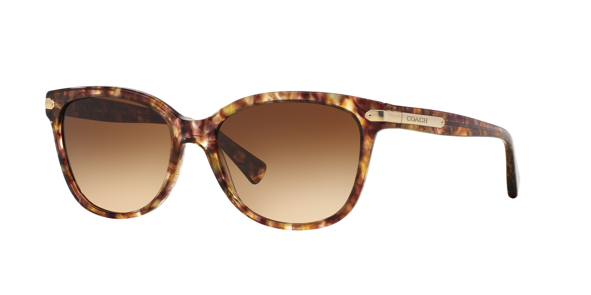 coach sunglasses hc 8132