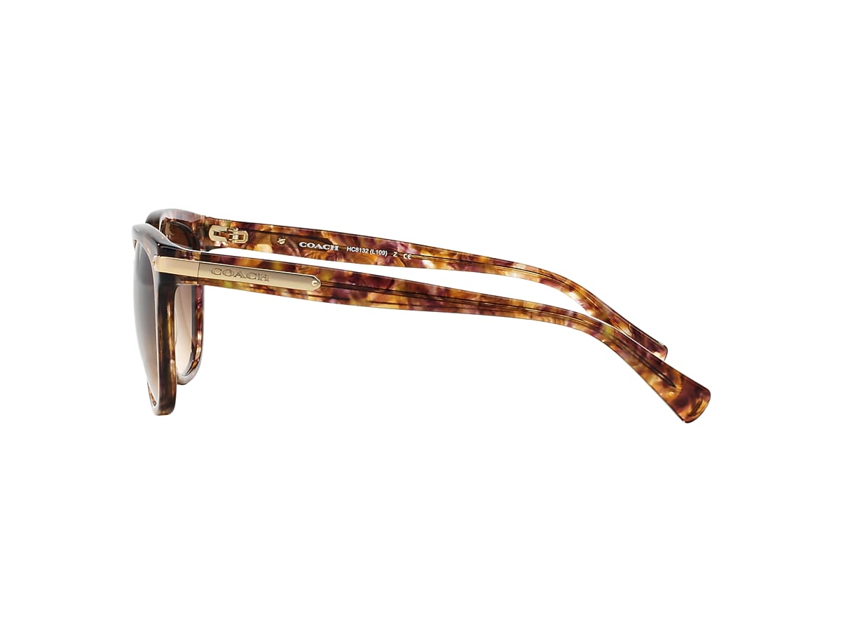 Coach HC8132 L109 57 Brown Gradient & Tortoise Sunglasses 