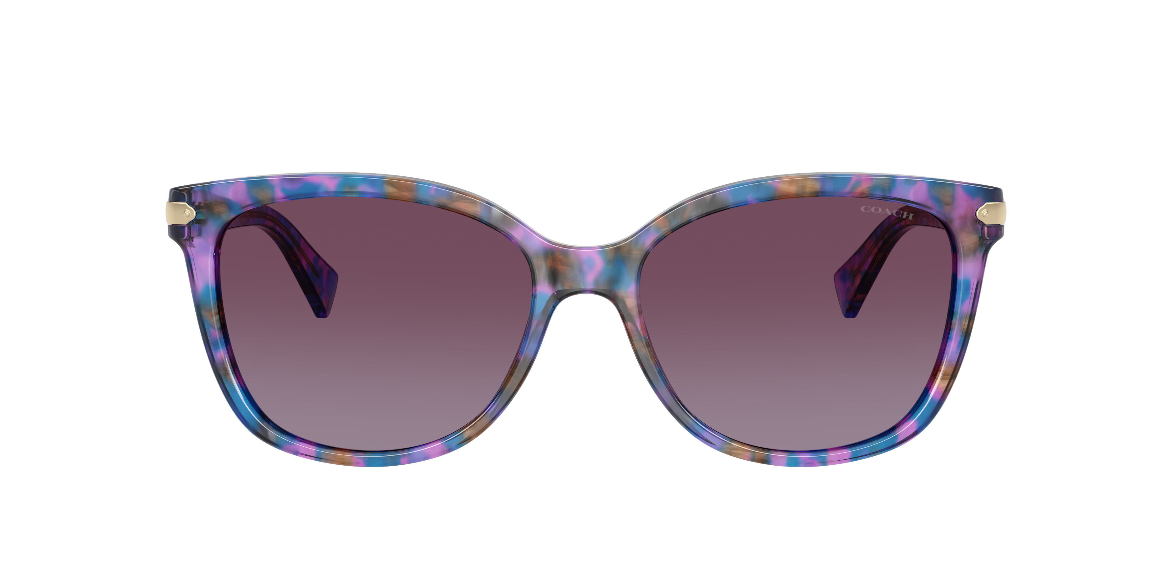 Coach Woman Sunglasses Hc8132 L109 In Purple Gradient