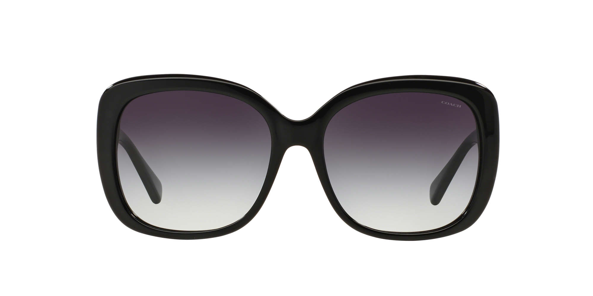 coach buckle sunglasses