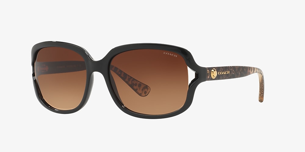 Coach HC8169 L149 57 Brown Gradient & Black Sunglasses | Sunglass Hut USA