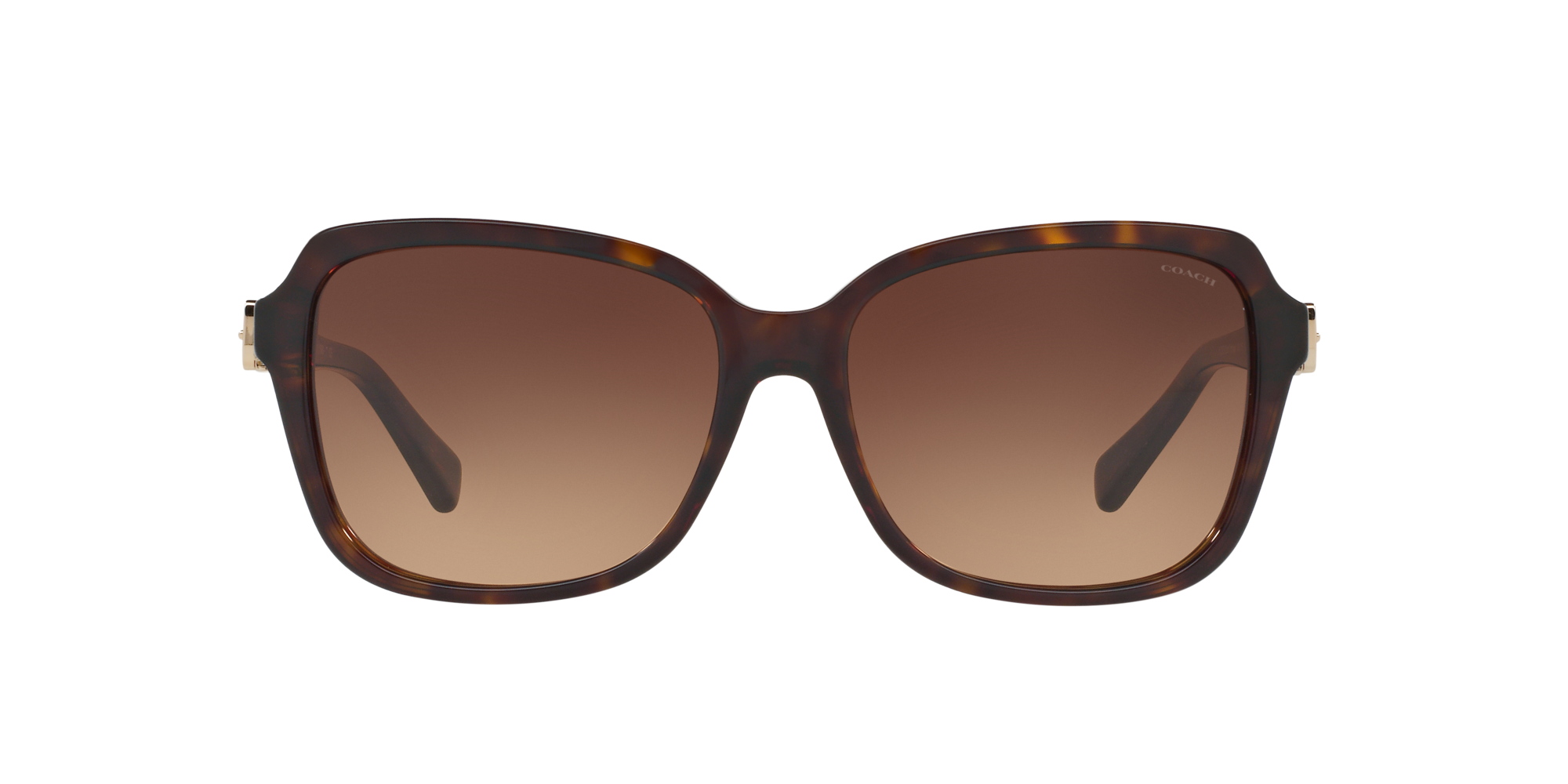 coach sunwear