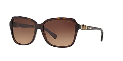 Coach HC8179 L1598 58 Brown Gradient & Dark Tortoise Sunglasses 