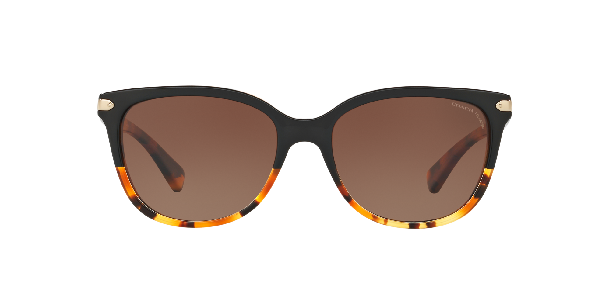 coach polarized glasses