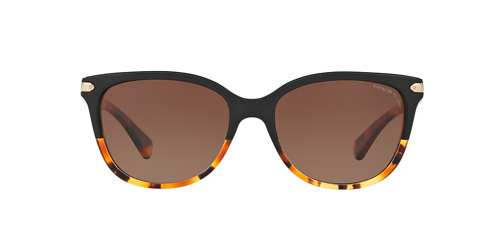 Coach store sunglasses hc8132