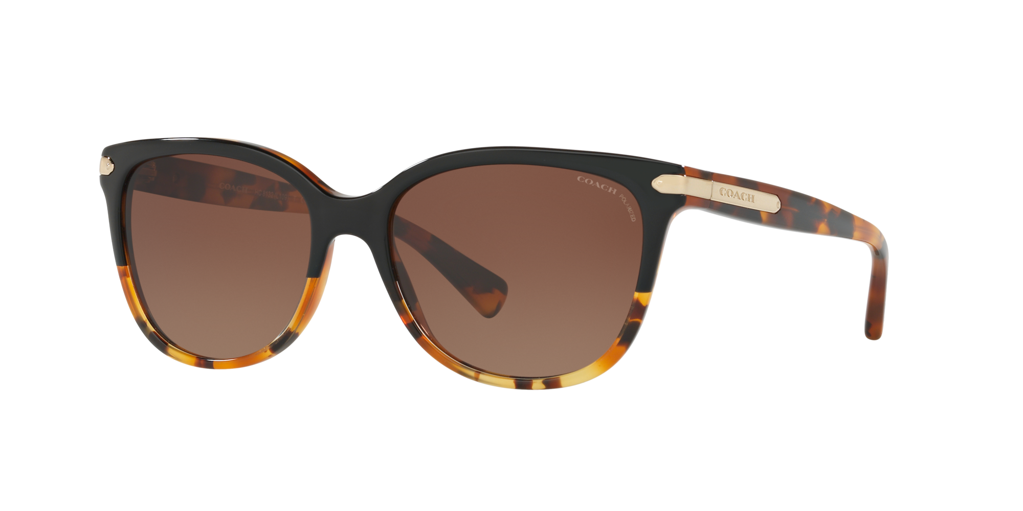 coach l109 sunglasses