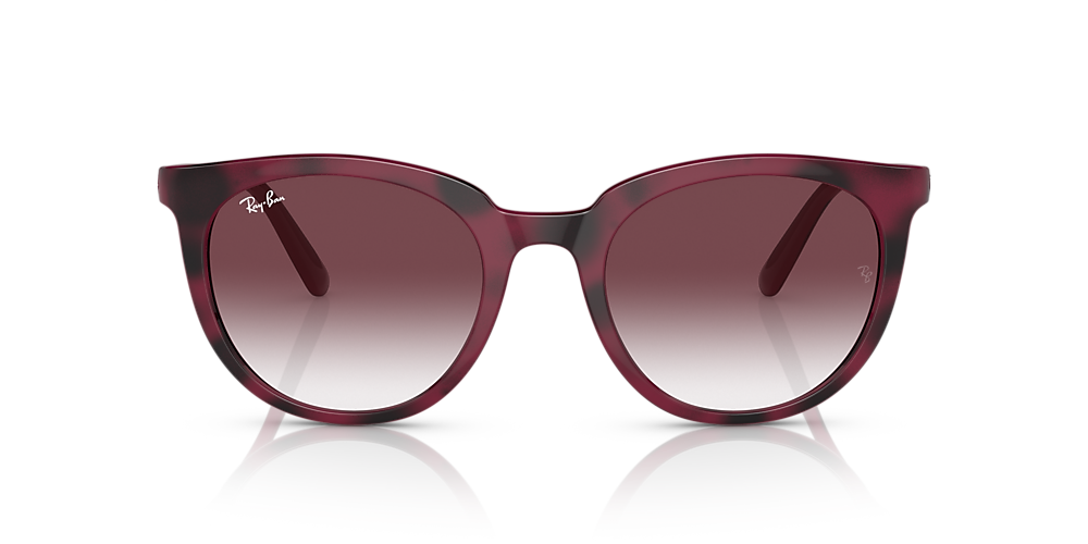 Burgundy ray cheap ban sunglasses