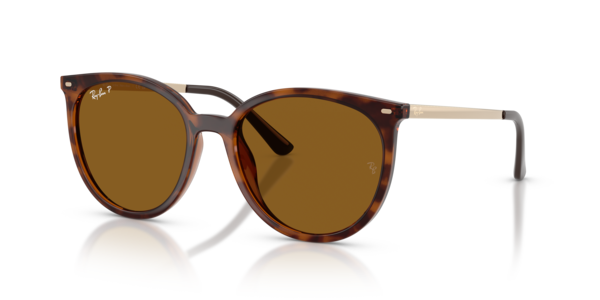 Óculos de sol Ray-Ban RB4464L, formato quadrado, armação em acetato havana-escuro, lente marrom-escuro polarizado