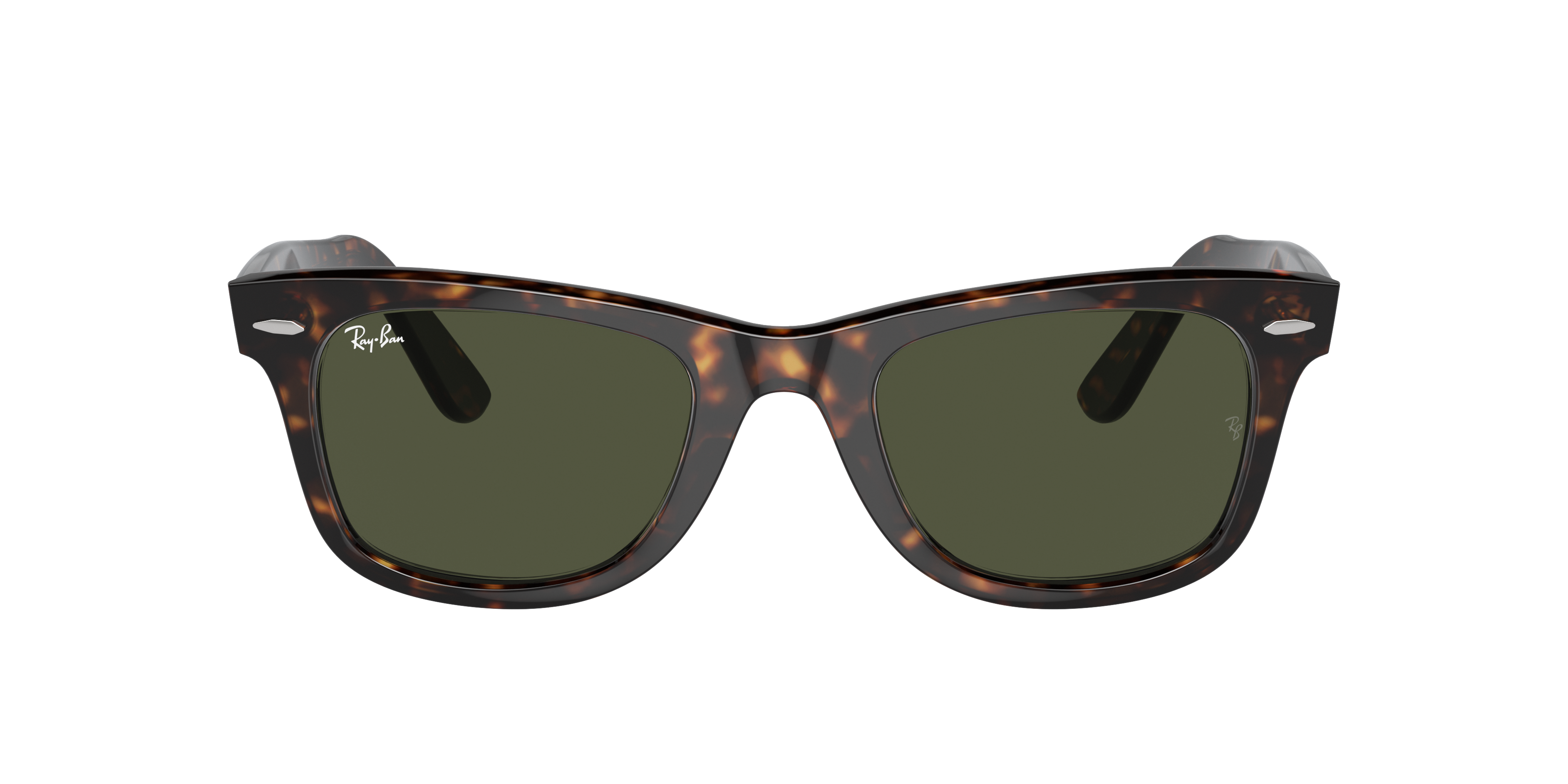 turtle ray bans