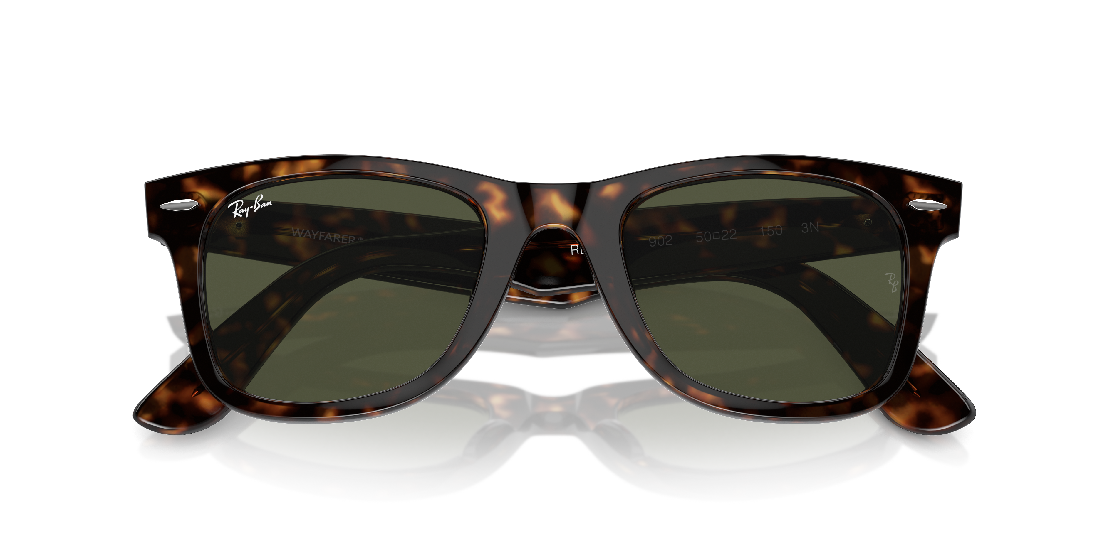 wayfarer turtle