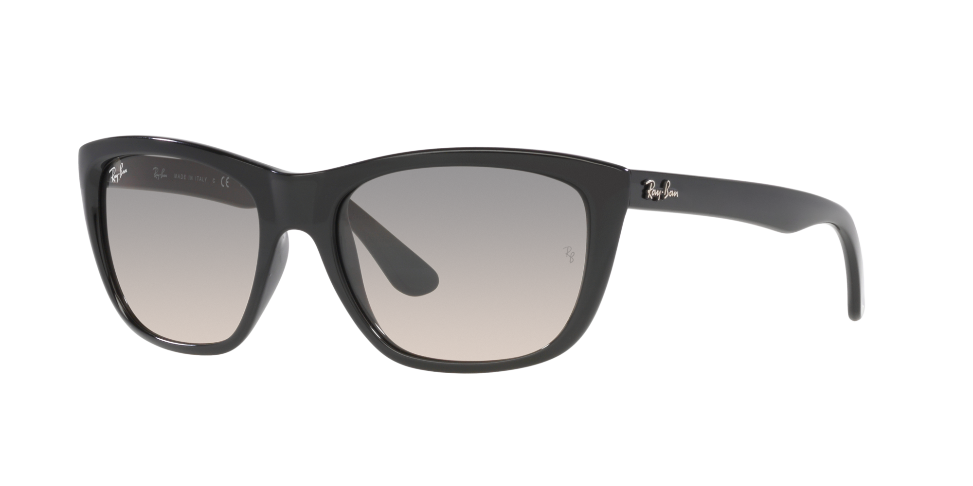 Ray Ban Ray In Grey