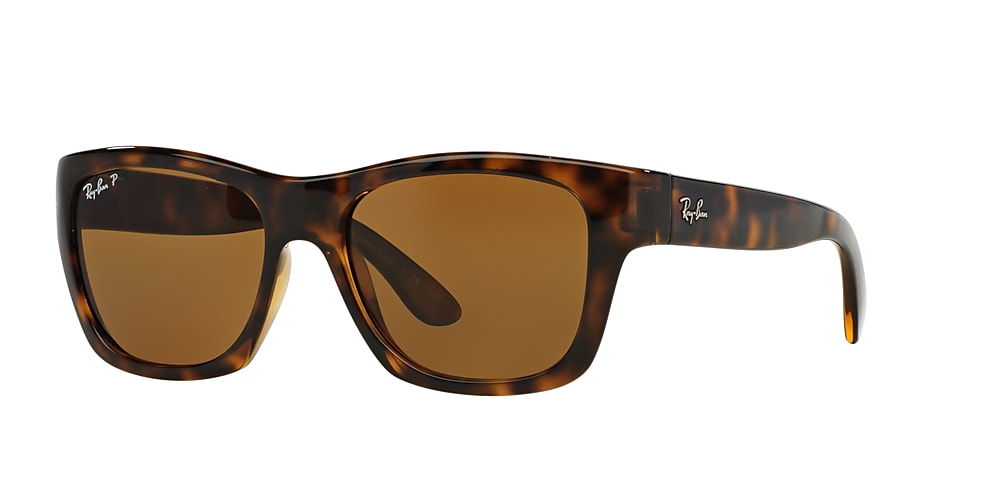 Ray ban 2024 browline sunglasses