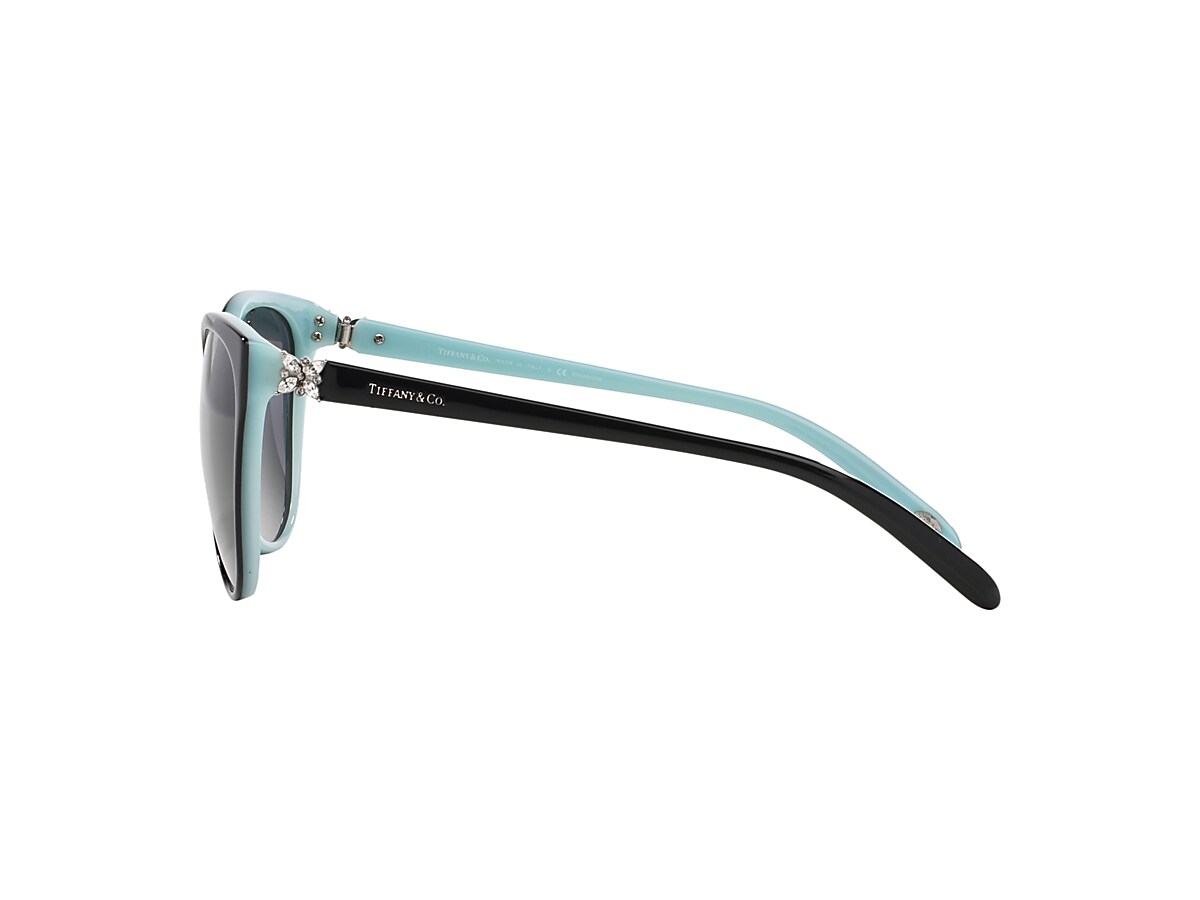 Tiffany 2024 tf4089b polarized